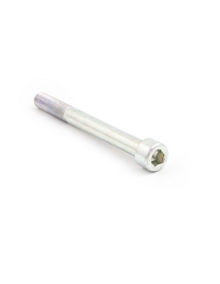 Tornillo de recambio acero 8.8 TCCE M12X80