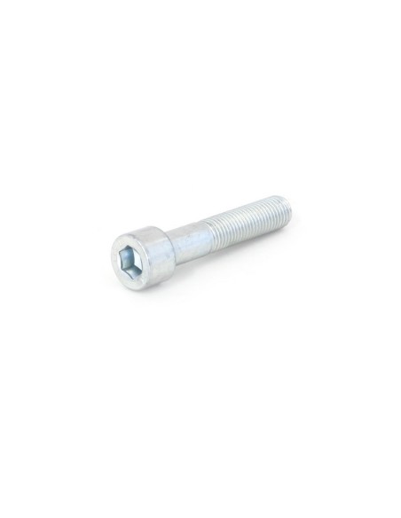 Tornillo de recambio EVOTECH acero 8.8 TCCE M12X60