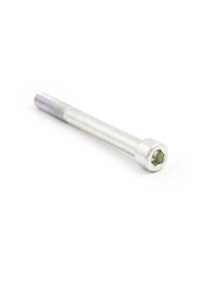 Tornillo de EVOTECH recambio acero 8.8 TCCE M12X120