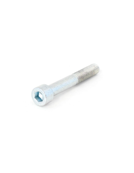EVOTECH Tornillo de recambio para protectores anti caida fabricado en acero inoxidable 8.8