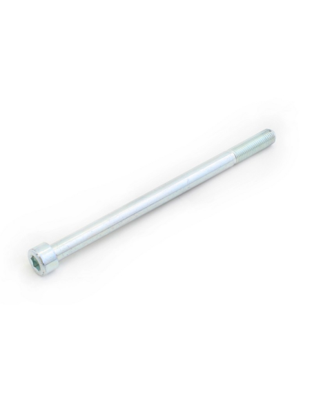 EVOTECH Tornillo de recambio acero 8.8 TCCE M10X120