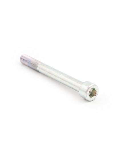 EVOTECH Tornillo de recambio acero 8.8 TCCE M10X120-1.5