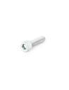 Tornillo de recambio acero 8.8 TCCE M10X110-1.5