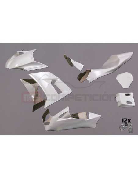 TF SUPERBIKE CARENADO DE FIBRA KAWASAKI ZX10R 2008-2010