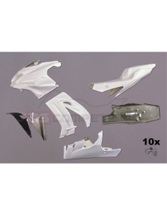 TF SUPERBIKE CARENADO DE FIBRA KAWASAKI ZX10R 2016-2021