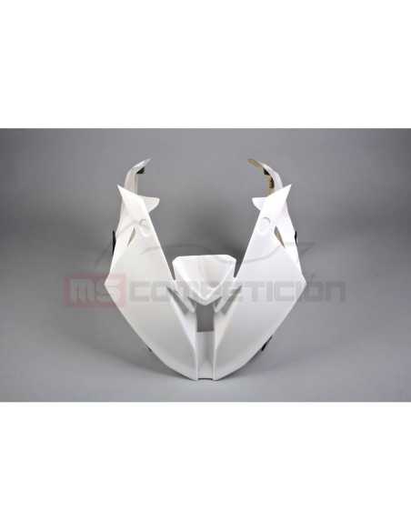 TF SUPERBIKE FRONTAL FIBRA DE VIDRIO BMW S 1000 RR 2015-2018