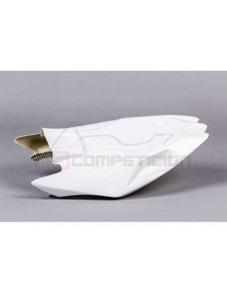 TF SUPERBIKE COLIN ORIGINAL FIBRA DE VIDRIO BMW S 1000 RR 2019-2021