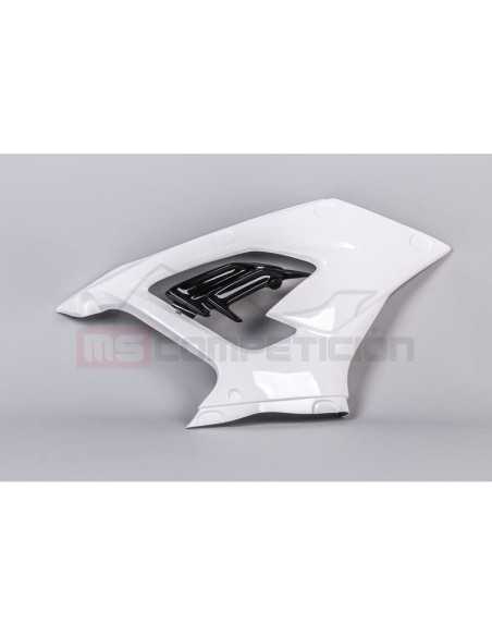 TF SUPERBIKE SILLETA FIBRA DE VIDRIO BMW S 1000 RR 2019-2021