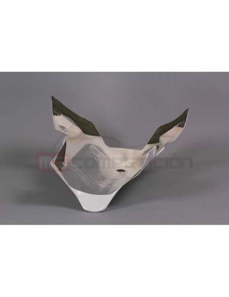 copy of FRONTAL FIBRA DE VIDRIO TF SUPERBIKE APRILIA RS660 2020-2022