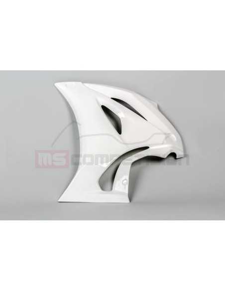 TF SUPERBIKE LATERAL IZQUIERDO FIBRA DE VIDRIO SUZUKI GSX-R 1000 2017-2021