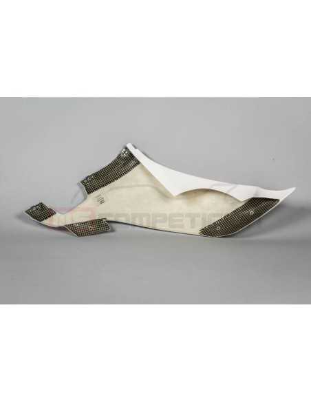 copy of FRONTAL FIBRA DE VIDRIO TF SUPERBIKE APRILIA RS660 2020-2022