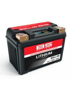 BSBATTERY BSLI-09 Lithium-Batterie