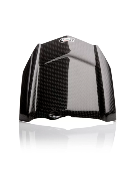 copy of Protector Basculante de fibra de carbono YAMAHA R1 2015-2020