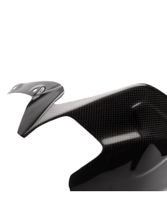 Protectores Basculante Carbono CARBON 2 RACE DUCATI PANIGALE V2 2