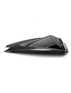CARBON 2 RACE Tapa Colin Carbono APRILIA TUONO V4 1000 / 1100 2011-2021 2