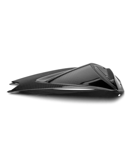 CARBON 2 RACE Tapa Colin Carbono APRILIA TUONO V4 1000 / 1100 2011-2021