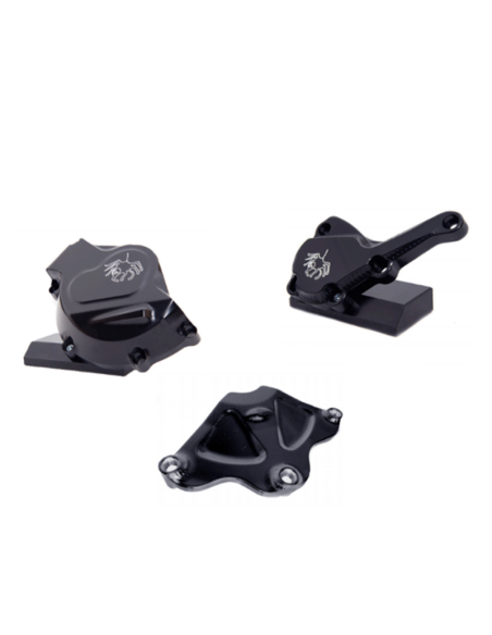 TAPAS DE MOTOR SPIDER para BMW S 1000 RR 2017-2018