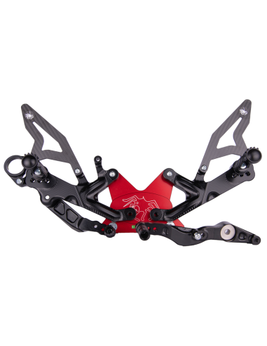 copy of FUSSRASTEN SPIDER APRILIA RSV4 2017-