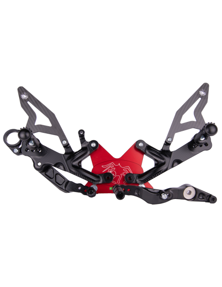 SPIDER ESTRIBERAS BMW S 1000 RR 2015-2018