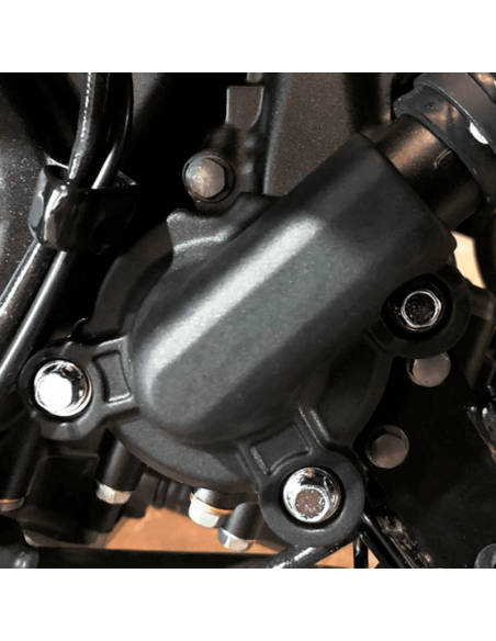 copy of GB RACING Motordeckel KAWASAKI Z900 2017-2020
