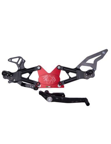 copy of FUSSRASTEN SPIDER APRILIA RSV4 2017-