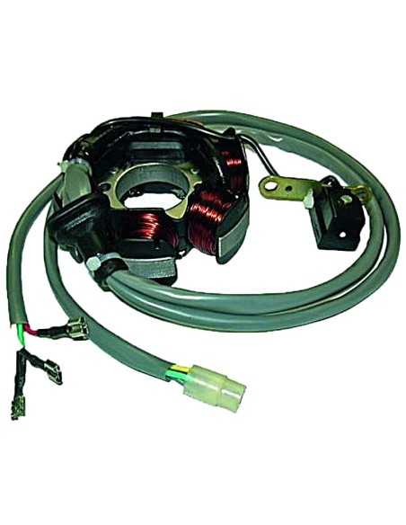 Stator Kokusan 6 Polos 12V 90W (Motor Piaggio 50 2T)