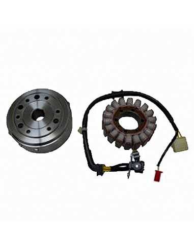 Volante magnético Denso 18 polos Honda SH 300 i.e 2007-2010. 24mm