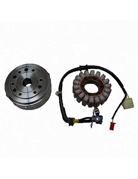 Volante magnético Denso 18 polos Honda SH 300 i.e 2007-2010. 24mm