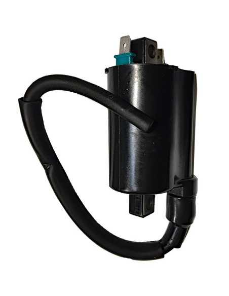 Bobina Kymco People One 12V-CC-2,7 OHM-2 FASTONS-CON CABLE