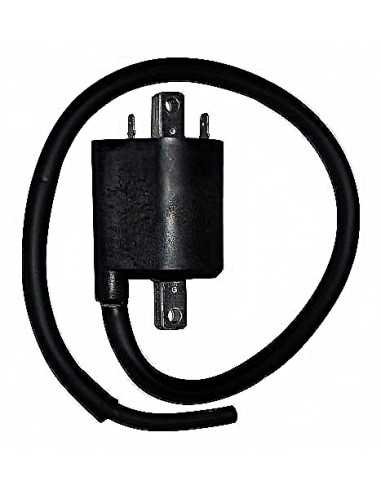 Bobina Mitsubishi F6T541 12V- 4,2 OHM- 2 FASTONS- CON CABLE