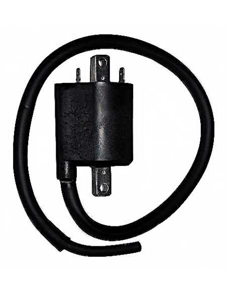 Bobina Mitsubishi F6T541 12V- 4,2 OHM- 2 FASTONS- CON CABLE