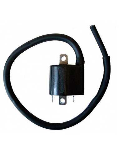 Bobina Mitsubishi F6T559 12V-3,6OHM-2 CONTACTOS CON CABLE