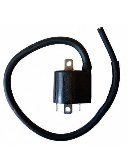 Bobina Mitsubishi F6T559 12V-3,6OHM-2 CONTACTOS- CON CABLE
