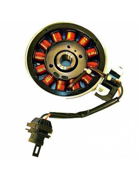 Volante Magnético 12 Polos Trifase 12V 120W (Motor Piaggio 50/100 4T)