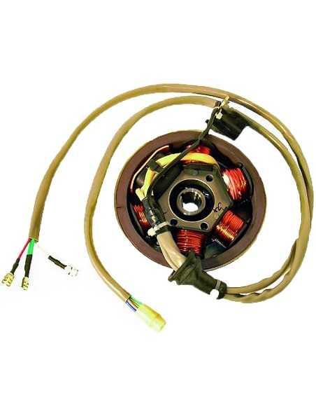 Volante Magnético 6 Polos 12V 90W (Motor Piaggio 50 2T)