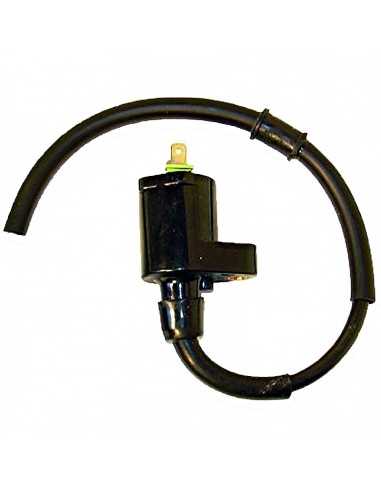 Bobina 12V 0,30 OHM - 2 Fastons