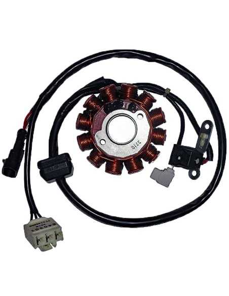 Stator Kokusan Trifase 12 Polos 12V 150W (Motor Piaggio Leader 125 4T I 2V)