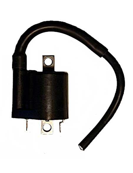 Bobina Yamaha Xmax 125/250/400 12V - 3 OHM - 2 FASTONS - CON CABLE 20CM