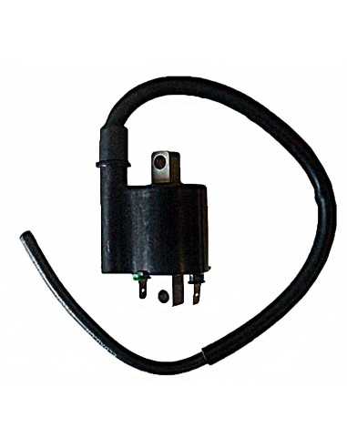 Bobina 12V 3 OHM - 2 Fastons con cable 40 cm.