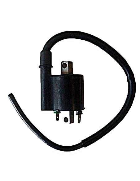 Bobina 12V 3 OHM - 2 Fastons con cable 40 cm.
