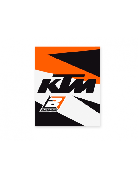 PROTECTOR CUBRE PUÑOS BLACKBIRD RÉPLICA KTM TROPHY 20