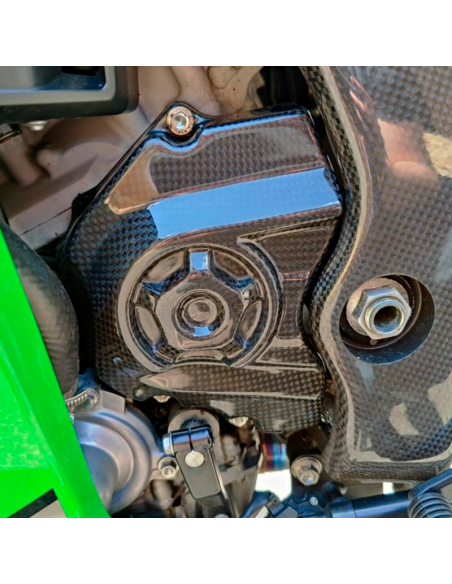 copy of Protector Basculante de fibra de carbono YAMAHA R1 2015-2020