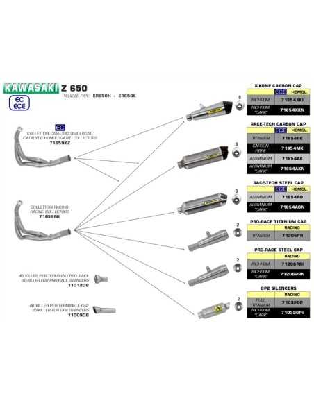 copy of DÄMPFER AKRAPOVIC CARBON KAWASAKI ZX-6 R 2009-18 RENNEN