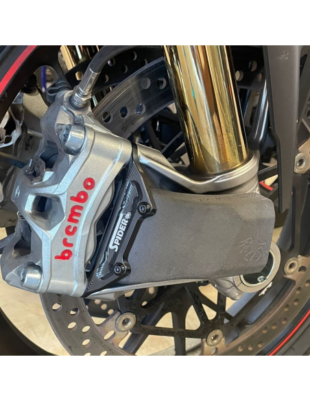 CONDUCTOS DE AIRE PINZAS para DUCATI PANIGALE V2 ref 35.D2