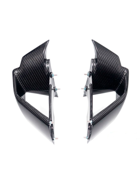 PAAR ILMBERGER CARBON-FLOSSEN BMW S 1000 RR 2019-2022