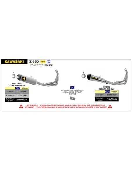 copy of SILENCIADORES RACING WORKS ARROW ACERO INOXIDABLE TITANIO DUCATI PANIGALE V4 2018-2022