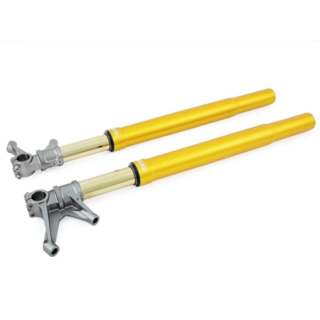 HORQUILLA OHLINS ORO FGR 250 YAMAHA R1 / M 2015-2023 REF FGR 252