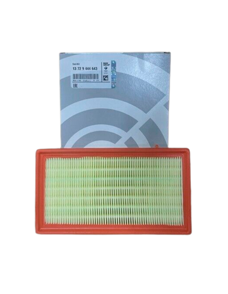 Filtro de aire original BMW REF 13729444643