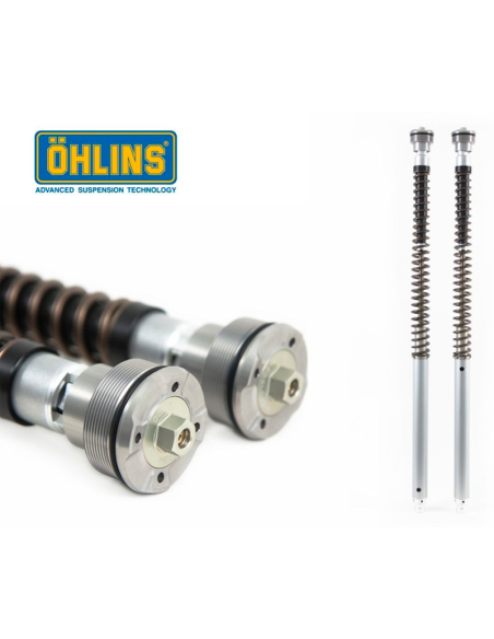 Cartuchos Horquilla OHLINS NIX30 APRILIA RSV 4 R FACTORY 2010-14 REF: FGK 215