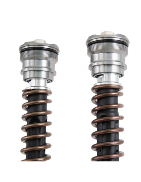 Cartuchos Horquilla OHLINS NIX30 APRILIA RSV 4 R FACTORY 2010-14 REF: FGK 215